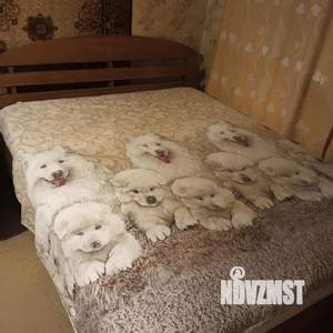 2-к квартира, посуточно, 44м2, 1/5 этаж