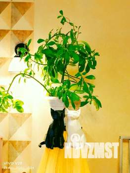 Студия квартира, посуточно, 27м2, 21/22 этаж