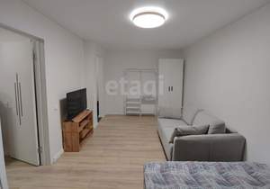 1-к квартира, на длительный срок, 27м2, 1/2 этаж