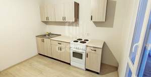 1-к квартира, на длительный срок, 40м2, 10/17 этаж