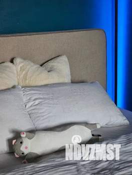 1-к квартира, посуточно, 42м2, 12/13 этаж