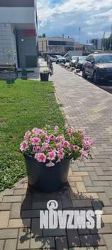 3-к квартира, на длительный срок, 80м2, 17/25 этаж