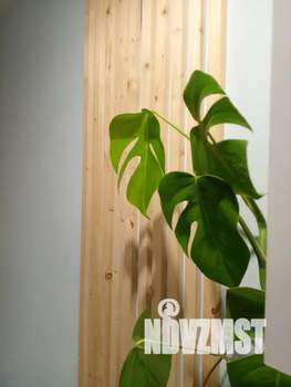 Студия квартира, посуточно, 25м2, 5/22 этаж