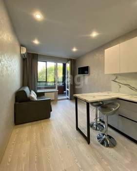 Студия квартира, на длительный срок, 24м2, 5/22 этаж