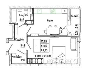 1-к квартира, вторичка, 43м2, 2/17 этаж