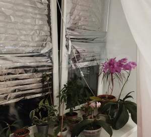 2-к квартира, вторичка, 57м2, 7/10 этаж
