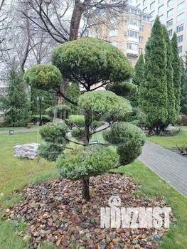 2-к квартира, вторичка, 54м2, 3/5 этаж