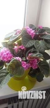 2-к квартира, вторичка, 53м2, 4/9 этаж