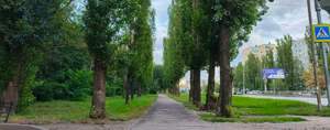 3-к квартира, вторичка, 74м2, 11/12 этаж