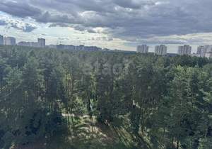 1-к квартира, вторичка, 38м2, 9/10 этаж