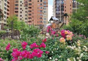 1-к квартира, вторичка, 36м2, 8/17 этаж