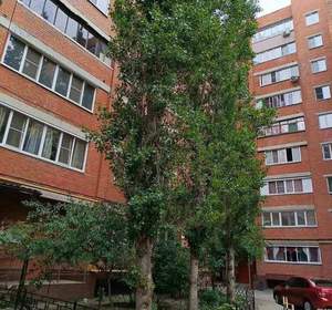 3-к квартира, вторичка, 65м2, 6/9 этаж